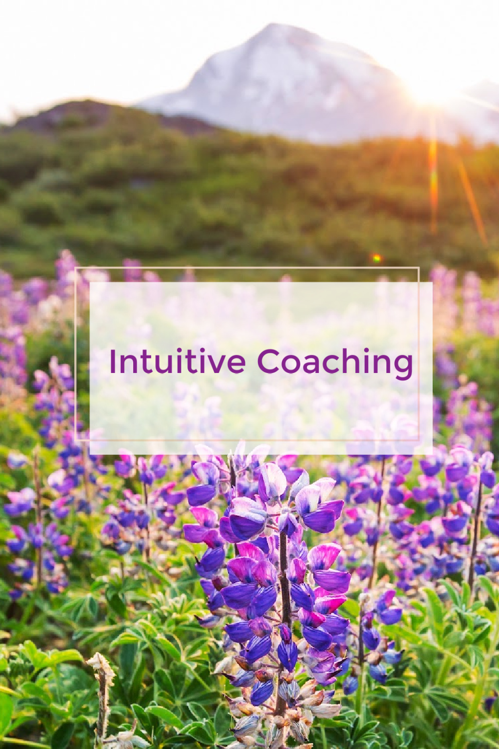 Is Intuitive Mindset Coaching for me?