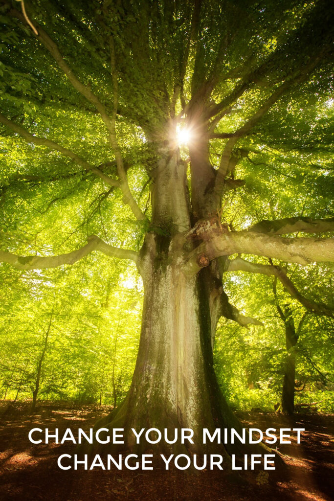 Beliefs, change, mindset